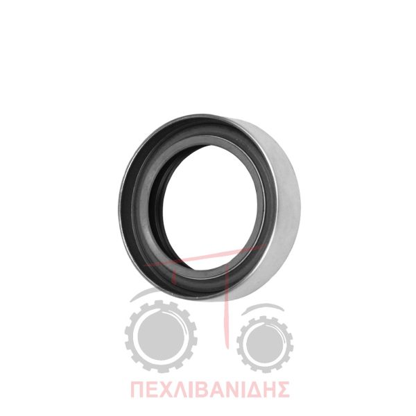 Τσιμούχα μειωτήρα Massey Ferguson 165-177-188-290-590