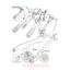 Λατέρνα κομπλέ Massey Ferguson 65X-165-175