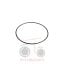 Όρινγκ καμπάνας PTO Massey Ferguson 3625F-3630F-3655F