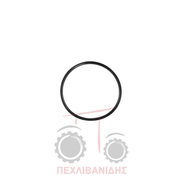 Όρινγκ καμπάνας PTO 123x2.5 Massey Ferguson 188-290-390-4200-4300-590-595-690