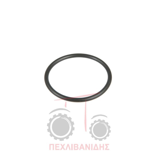 Όρινγκ διαφορικού Massey Ferguson 3300-3400