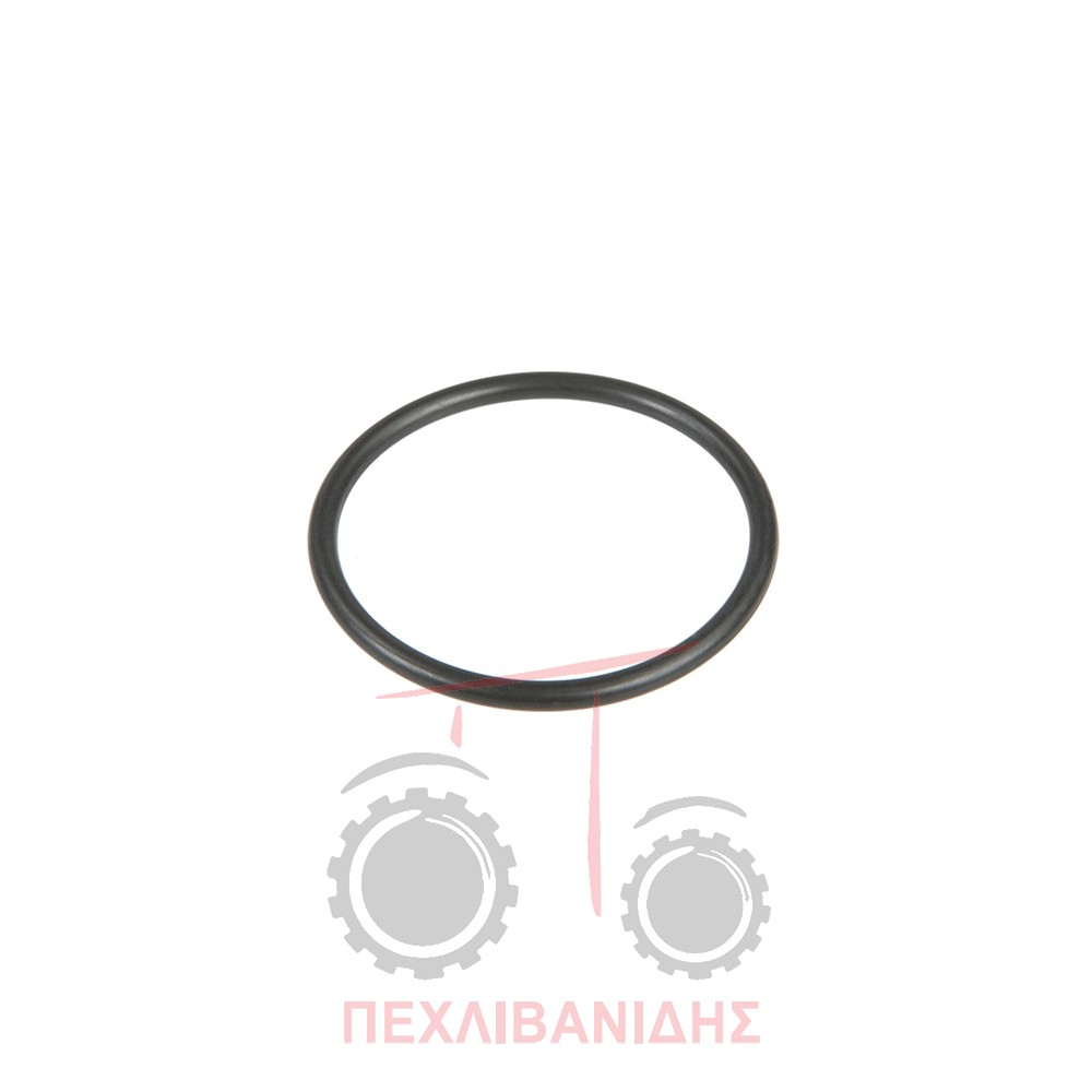 Όρινγκ διαφορικού Massey Ferguson 3300-3400