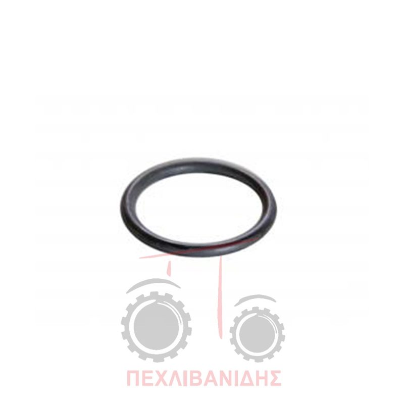 Όρινγκ διαφορικού Massey Ferguson 3300-3400 Όρινγκ διαφορικού Massey Ferguson 3300-3400