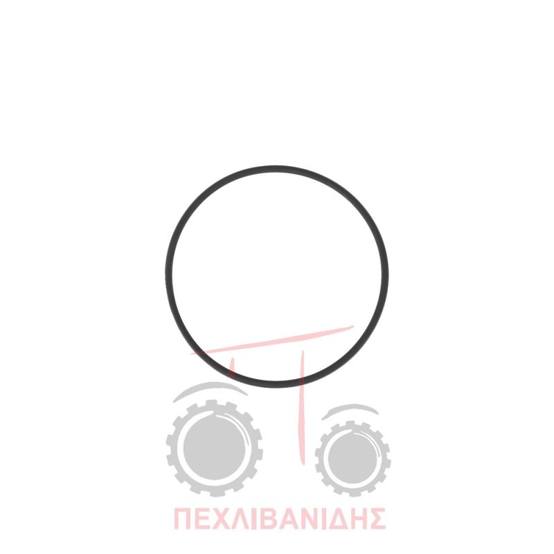 Όρινγκ καβαλέτου μπροστά διαφορικού Massey Ferguson 2230-2435-3080-3125-3650-3660-3680-394-8150 Όρινγκ καβαλέτου μπροστά διαφορικού Massey Ferguson 2230-2435-3080-3125-3650-3660-3680-394-8150