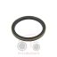 Τσιμούχα μειωτήρα Massey Ferguson 394-390-3080-3680