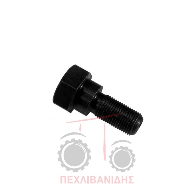 Βίδα παλάγκου Massey Ferguson 35-35X-133-135-145