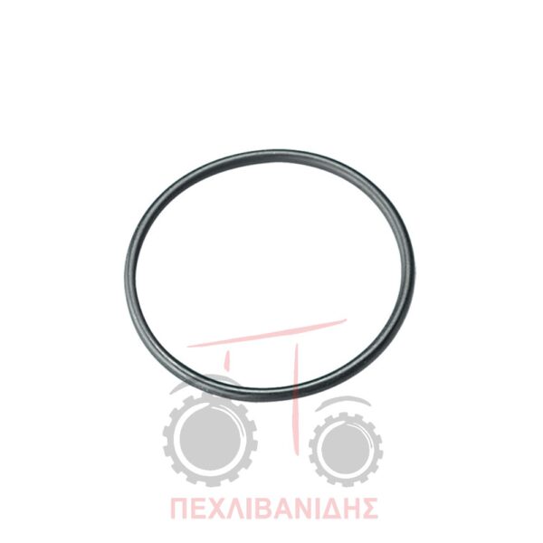 Όρινγκ βαλβίδας Massey Ferguson 3670-3680-3690