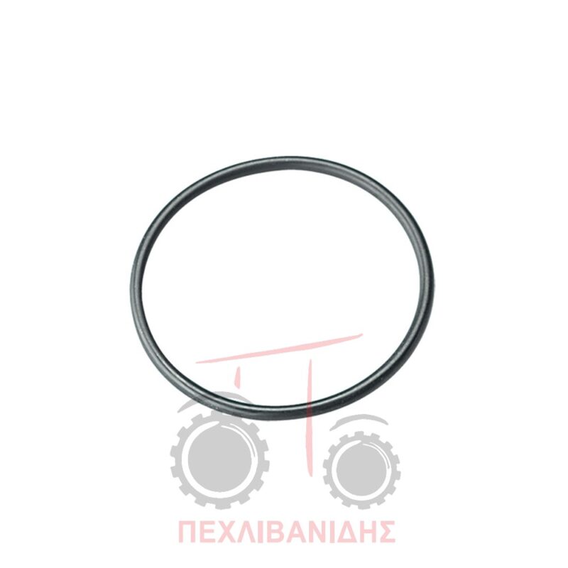 Όρινγκ βαλβίδας Massey Ferguson 3670-3680-3690