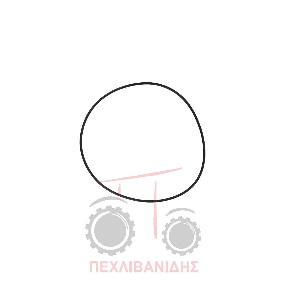 Όρινγκ μπροστά μειωτήρα διαφορικού 177.4x3.53 Massey Ferguson 3300-3400