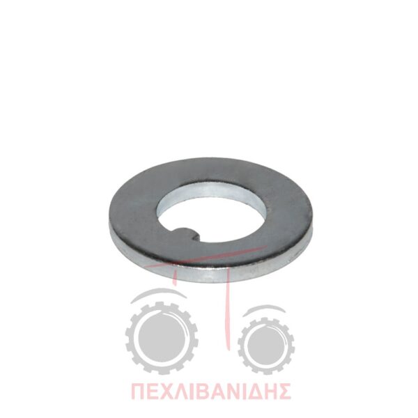 Ροδέλα ακραξονίου Massey Ferguson 177-188-290-590-690