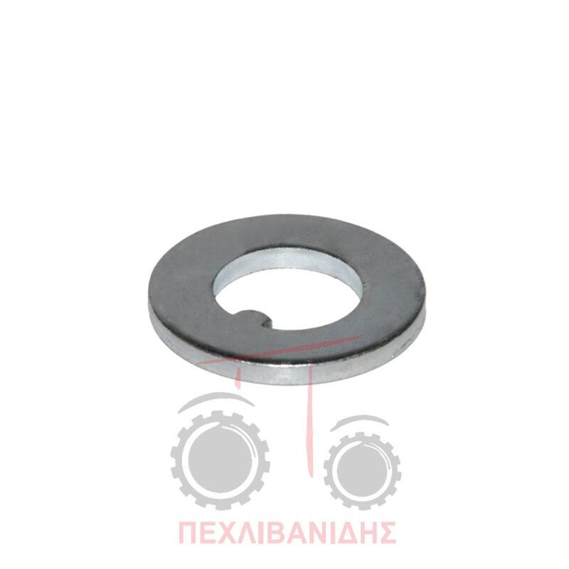 Ροδέλα ακραξονίου Massey Ferguson 177-188-290-590-690