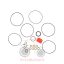 Σετ ρότορα τιμονιού Danfoss Massey Ferguson 290-390-5460-5480-5600-5700-6455-699