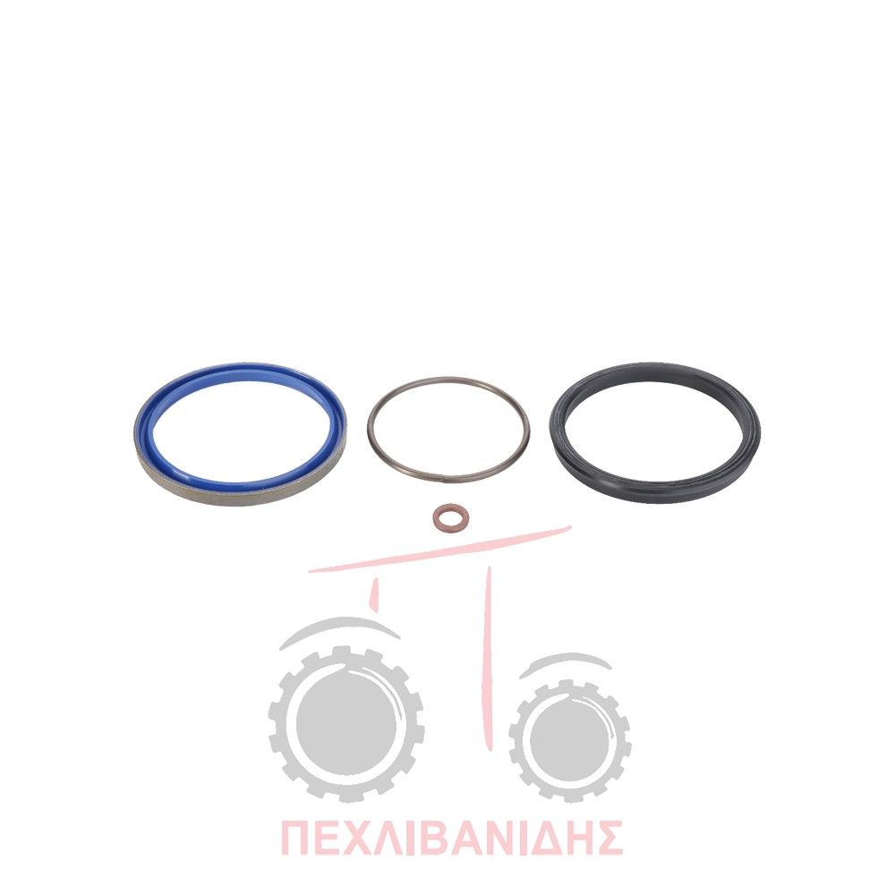 Σετ μπουκάλας υδραυλικού Massey Ferguson 3120-3000