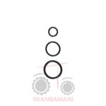 Σετ όρινγκ βαλβίδας φέτας χειριστηρίου Massey Ferguson 290-390-4200-4300 Σετ όρινγκ βαλβίδας φέτας χειριστηρίου Massey Ferguson 290-390-4200-4300