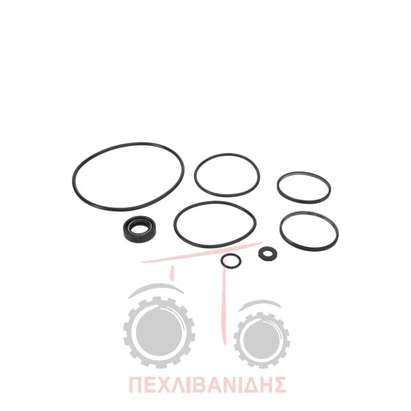 Σετ αντλίας τιμονιού Massey Ferguson 165-177-178