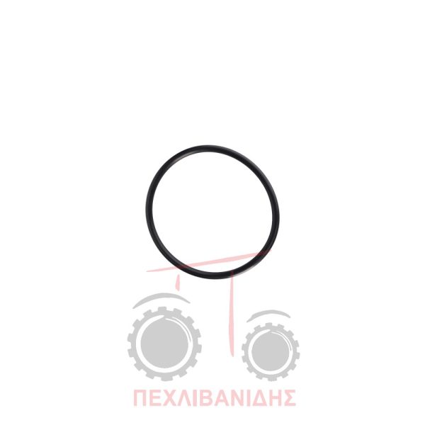 Όρινγκ μπουκάλας υδραυλικού 90x6 Massey Ferguson 174-194-274-294-394