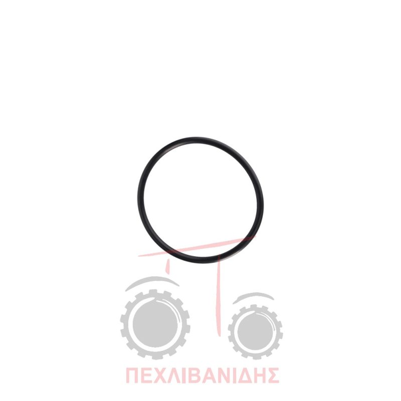 Όρινγκ μπουκάλας υδραυλικού 90x6 Massey Ferguson 174-194-274-294-394