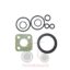 Όρινγκ σετ αντλίας υδραυλικού Massey Ferguson 3080-3125-6180