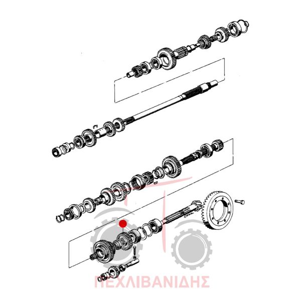 Γρανάζι πηνίου Landini 5840-8500-Frutteti