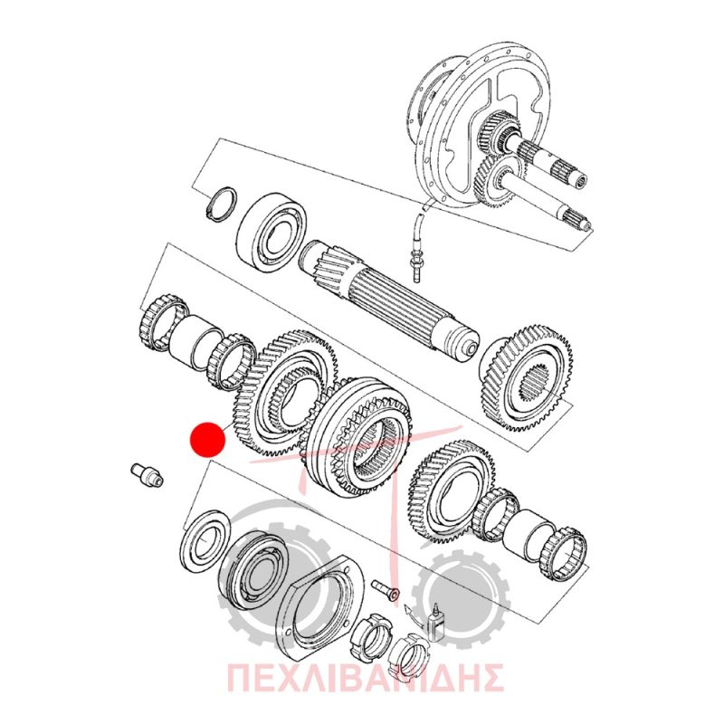 Γρανάζι σασμάν Landini Rex 70-85-105 Γρανάζι σασμάν Landini Rex 70-85-105