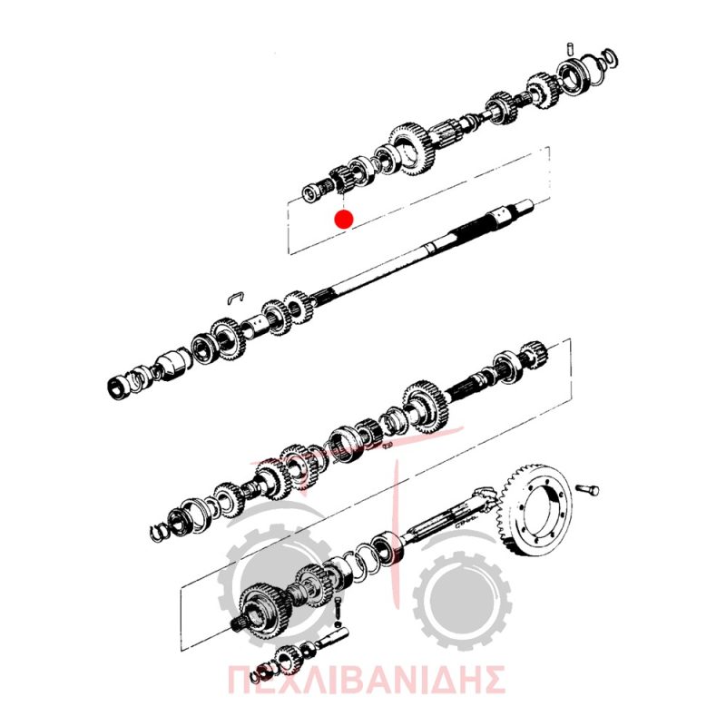 Γρανάζι σασμάν Landini 5500-6500-Frutteti Γρανάζι σασμάν Landini 5500-6500-Frutteti