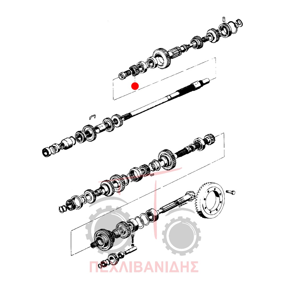 Γρανάζι σασμάν Landini 5500-6500-Frutteti