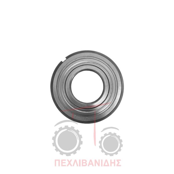 Ρουλεμάν σασμάν 55x120x29 Landini Landpower-13000-Legend