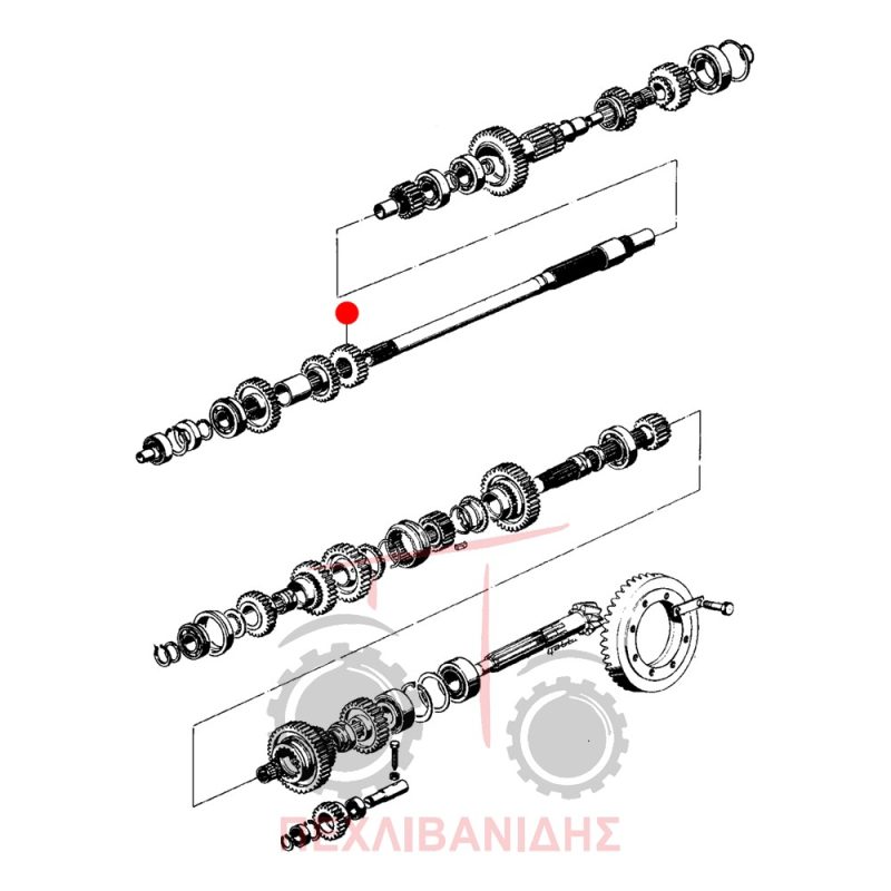Γρανάζι σασμάν Landini 5840-6550-Frutteti Γρανάζι σασμάν Landini 5840-6550-Frutteti