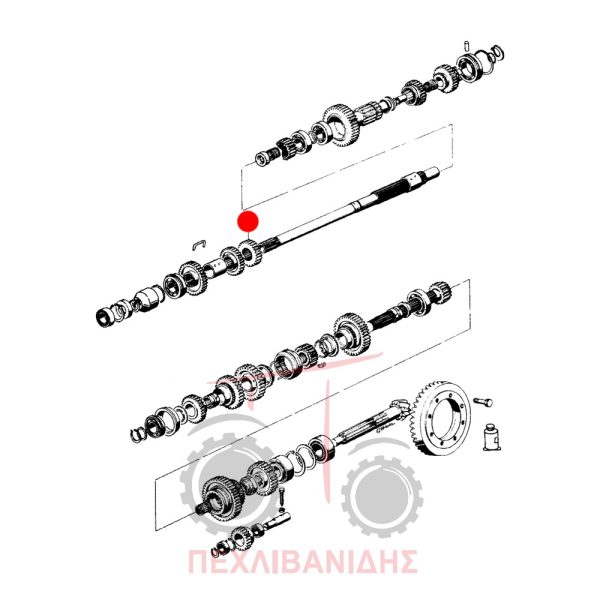 Γρανάζι σασμάν Landini Frutteti 5830-8550