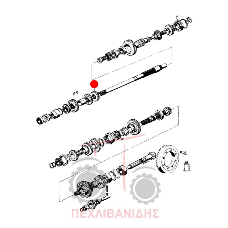 Γρανάζι σασμάν Landini Frutteti 5830-8550