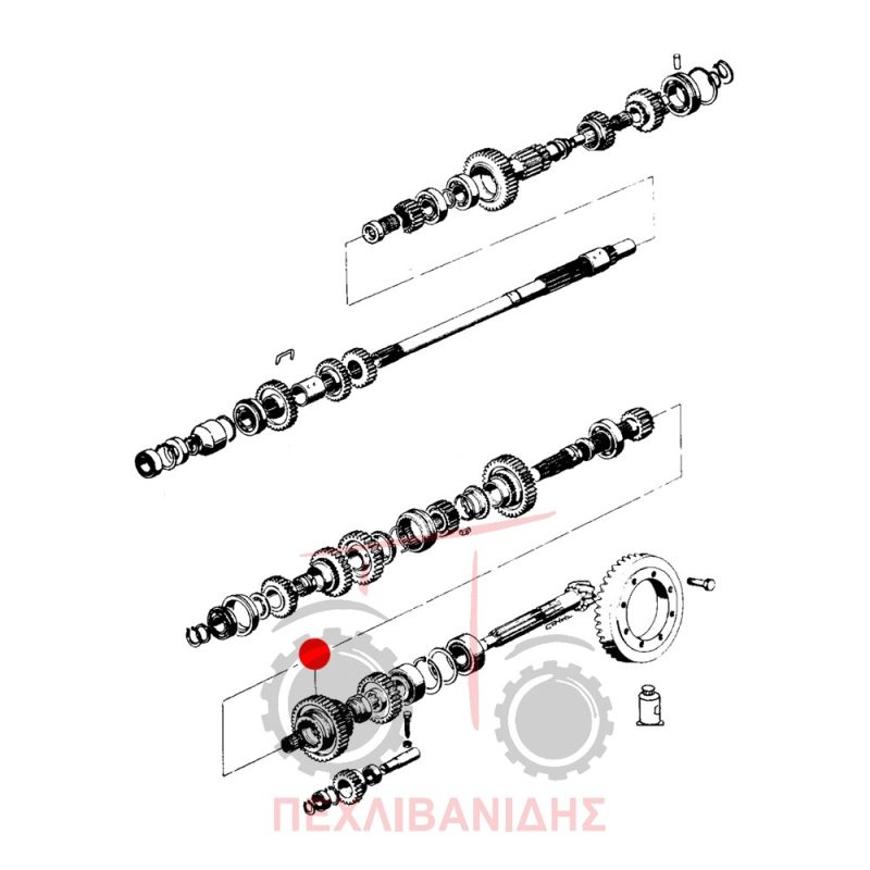 Διπλό γρανάζι σασμάν Landini 8550-8500-Frutteti