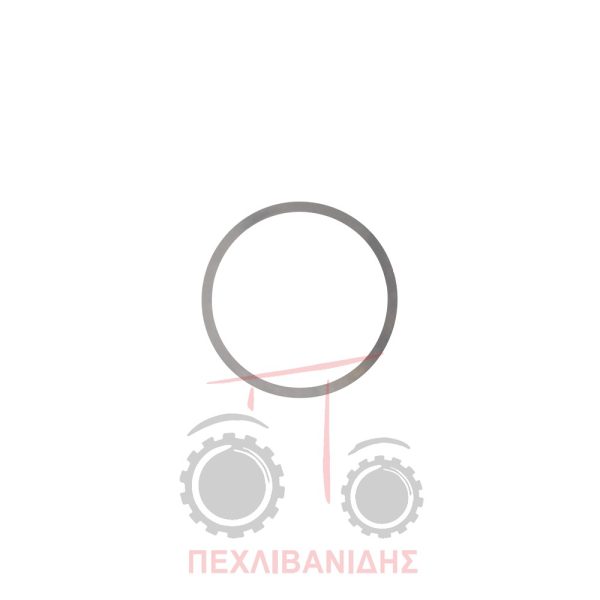 Ρυθμιστική ροδέλα πίσω βάση πλανητικού διαφορικού 0.24mm Landini 8830-8550-8500-Advantage-Frutteti