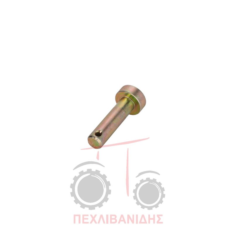 Πείρος τερματικού μουαγιέ Landini 8880-Frutteti-16500
