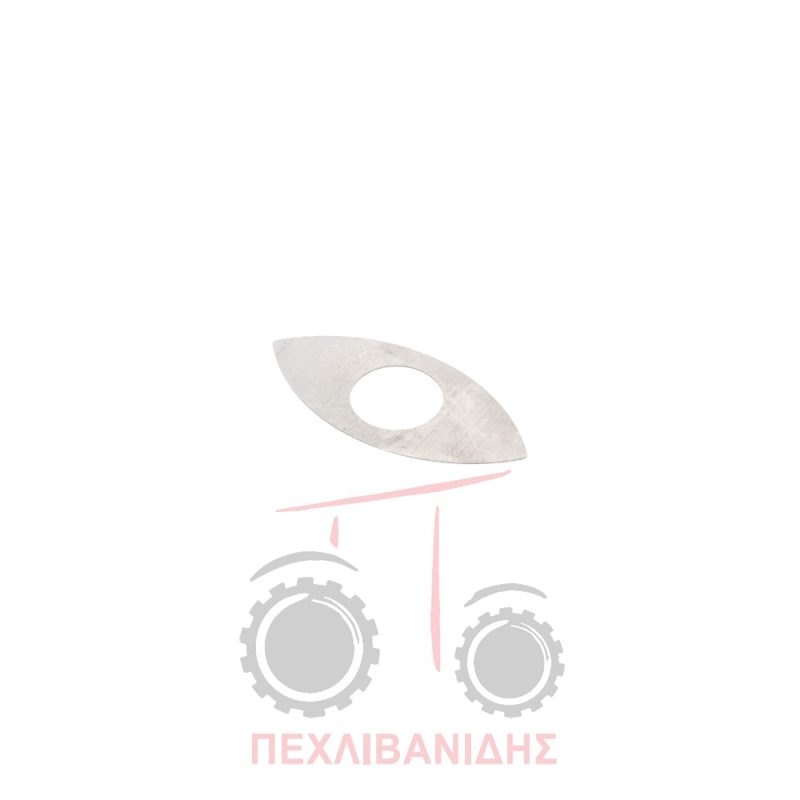 Ροδέλα μπροστά μειωτήρα Landini Globalfarm-Legend-Powerfarm-Rex-Vigneti