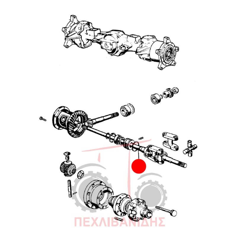 Μπροστά μακρύ ημιαξόνιο διαφορικού Landini Frutteti 5530-5560 Μπροστά μακρύ ημιαξόνιο διαφορικού Landini Frutteti 5530-5560