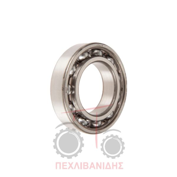 Ρουλεμάν μπροστά ημιαξονίου Landini 5500-Alpine-Frutteti
