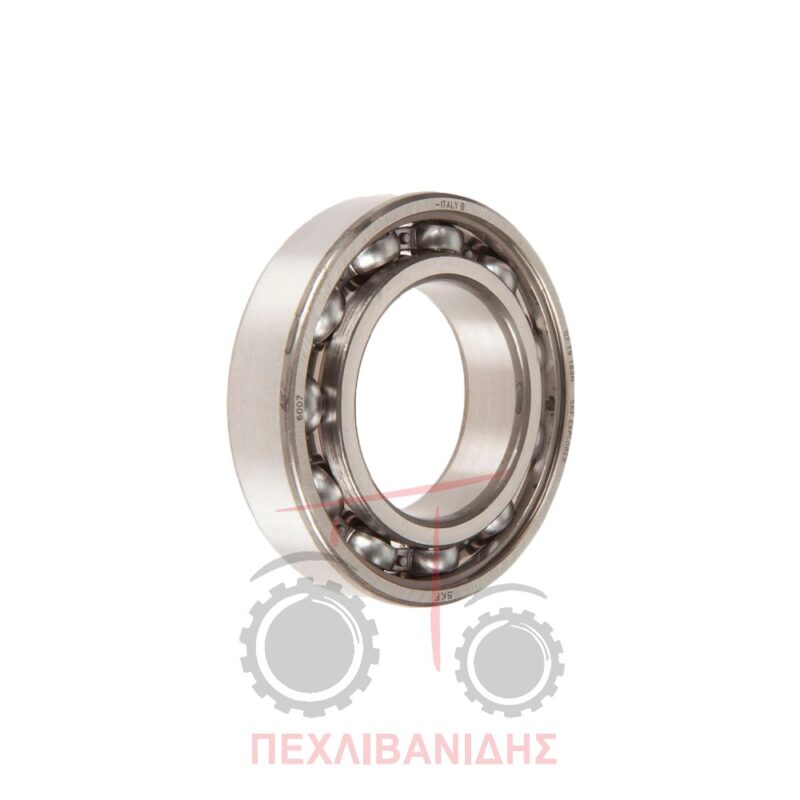 Ρουλεμάν μπροστά ημιαξονίου Landini 5500-Alpine-Frutteti