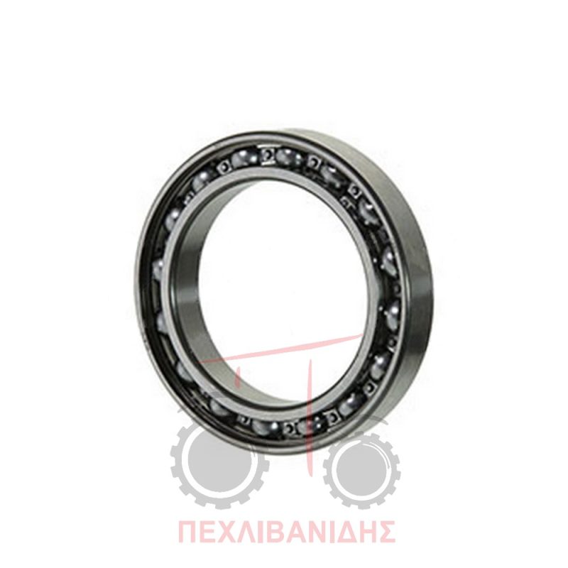 Ρουλεμάν διαφορικού Landini Legend 160-165 Ρουλεμάν διαφορικού Landini Legend 160-165