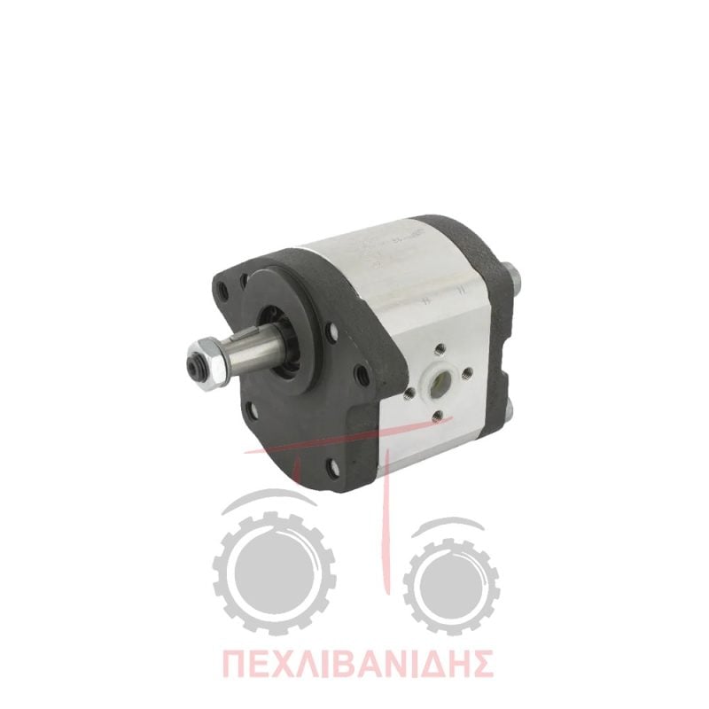 Αντλία υδραυλικού Landini 5860-Advantage-Frutteti