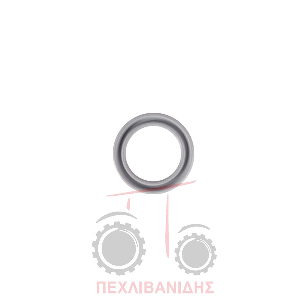 Στεγανό κομπλέρ πίσω κάρου διαφορικού 20x28x4 Landini Advantage-10000-Legend-Rex-Vigneti