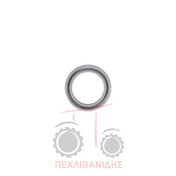 Στεγανό κομπλέρ πίσω κάρου διαφορικού 20x28x4 Landini Advantage-10000-Legend-Rex-Vigneti