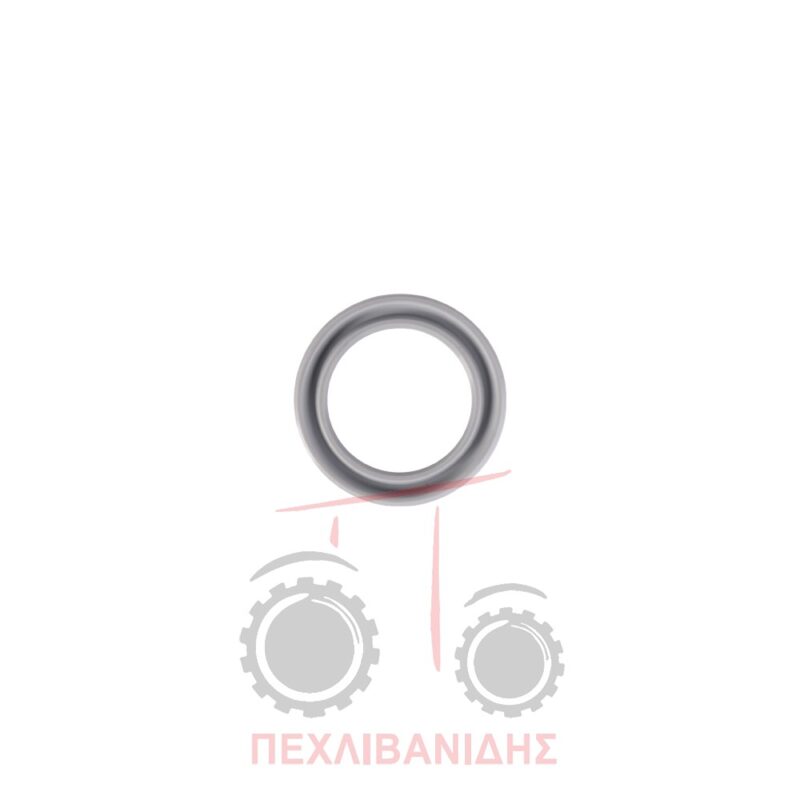 Στεγανό κομπλέρ πίσω κάρου διαφορικού 20x28x4 Landini Advantage-10000-Legend-Rex-Vigneti