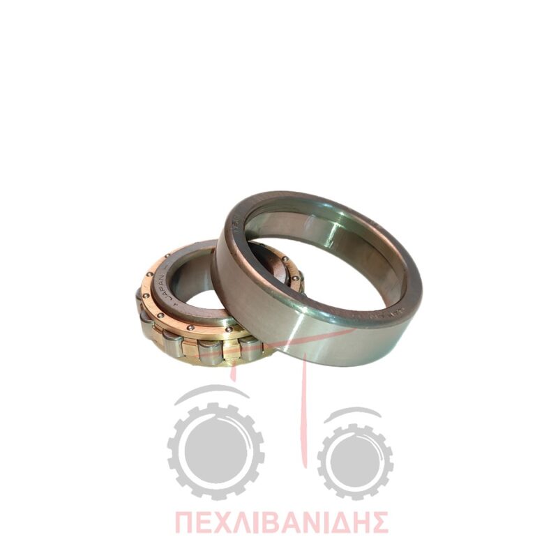 Ρουλεμάν σασμάν Ford 2000-3000