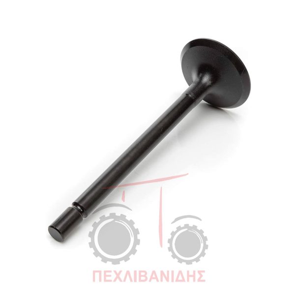 Βαλβίδα μηχανής Ex 33.00X7.00X100.0 403-404C