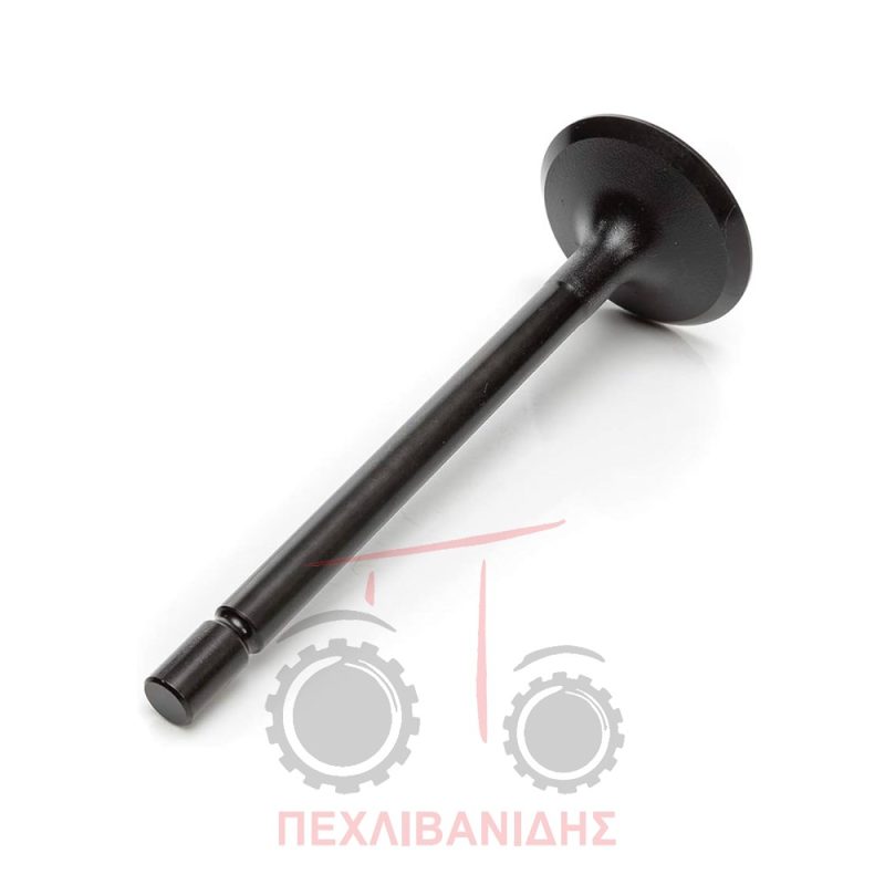 Βαλβίδα μηχανής Ex 33.00X7.00X100.0 403-404C