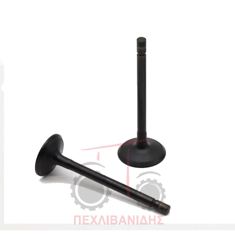 Βαλβίδα μηχανής in 400 series Βαλβίδα μηχανής in 400 series