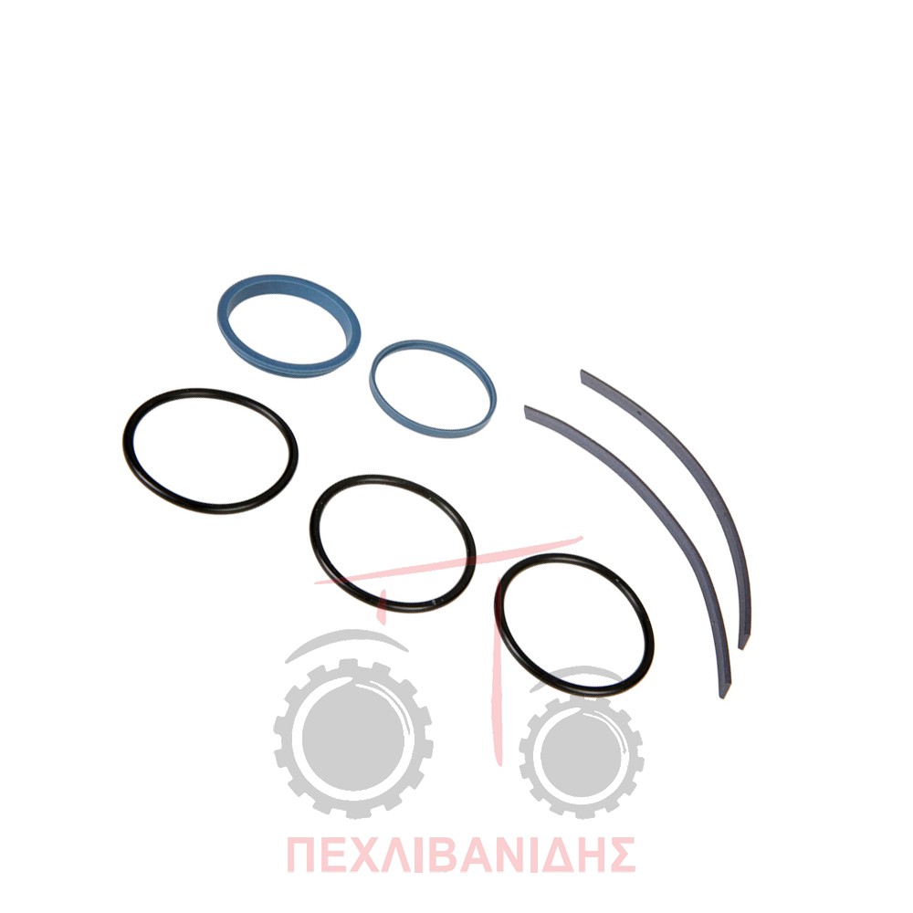 Σετ όρνγκ Massey Ferguson 3120-3125