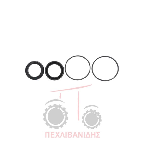 Σετ όρινγκ κυλινδράκι φρένου Massey Ferguson 6600-7400-7600
