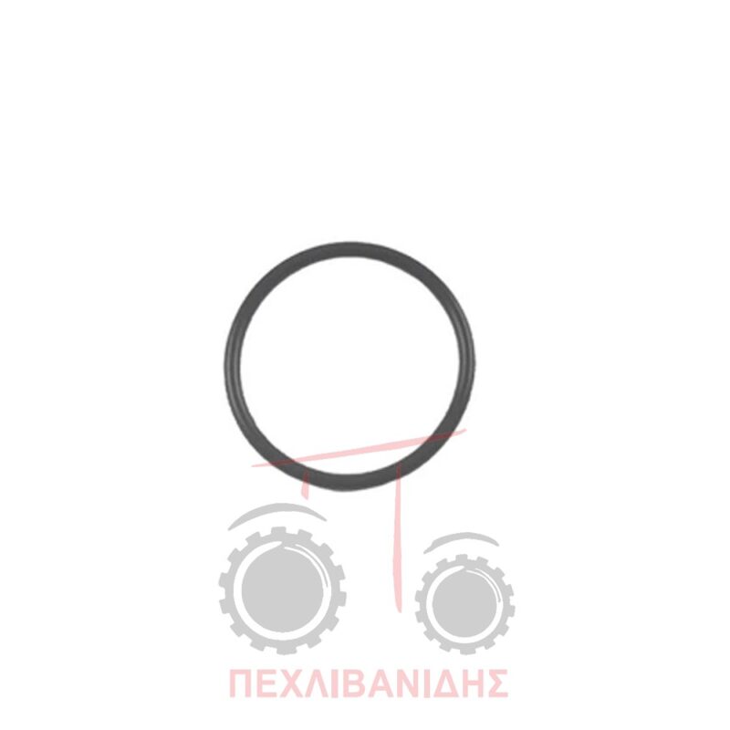 Όρινγκ πλάκας αντλίας υδραυλικού Massey Ferguson 3080-3125-6180