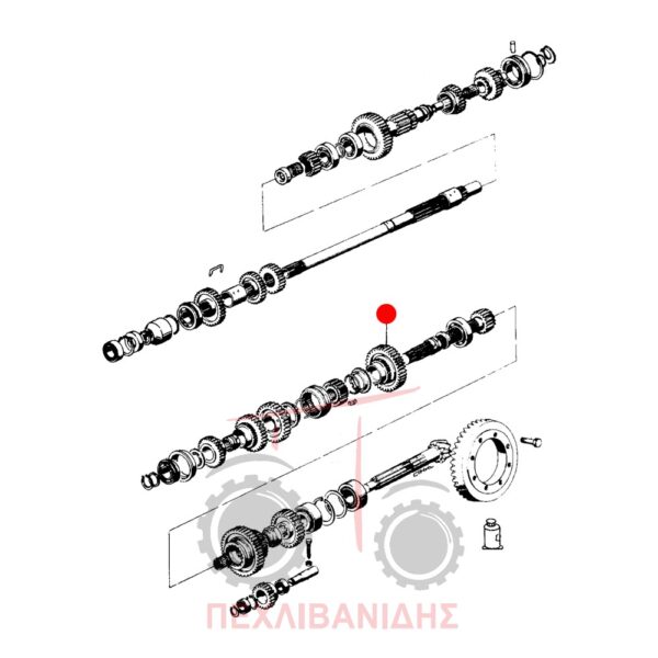 Γρανάζι σασμάν Landini 8550-8500-Frutteti